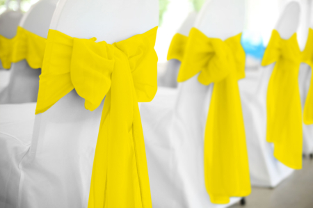 Lemon Polyester Chair Sash Rental