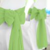 Lime Polyester Chair Sash Rental