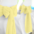 Maize Polyester Chair Sash Rental