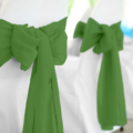 Moss Polyester Chair Sash Rental