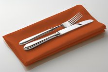 Terracotta Polyester Napkin